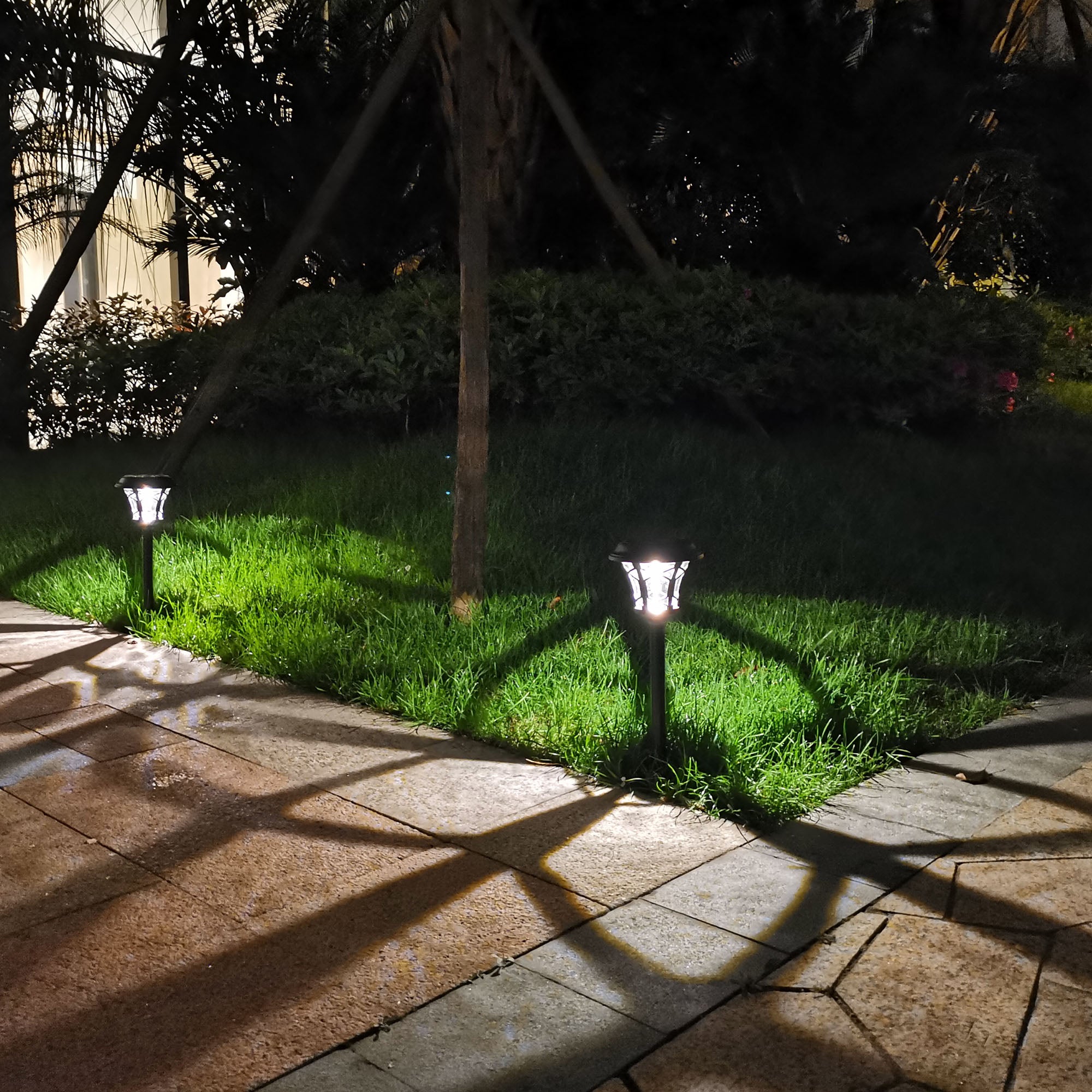 6-Pack Solar Post Lights