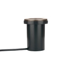 pathscapes Proline 2-Pack Solid Brass Low Voltage LED Well Light
