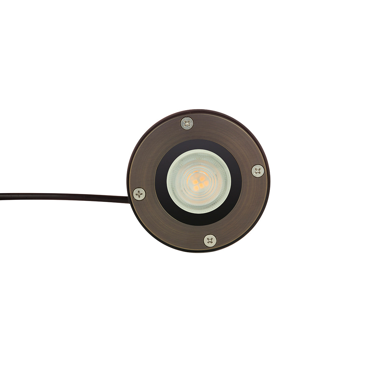 pathscapes Proline 2-Pack Solid Brass Low Voltage LED Well Light