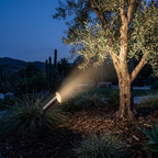 pathscapes Proline 2-Pack Solid Brass Low Voltage Spot Light