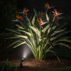 pathscapes Proline 2-Pack Solid Brass Low Voltage Landscape Spot light