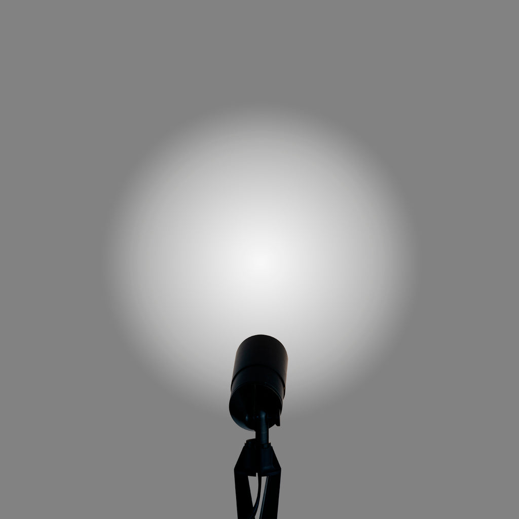 pathscapes Proline 2-Pack Solid Brass Low Voltage Spot Light