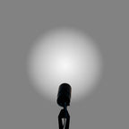 pathscapes Proline 2-Pack Solid Brass Low Voltage Spot Light