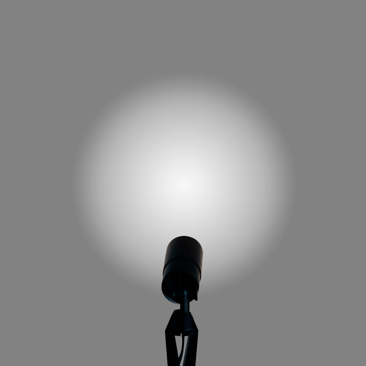 pathscapes Proline 2-Pack Solid Brass Low Voltage Spot Light