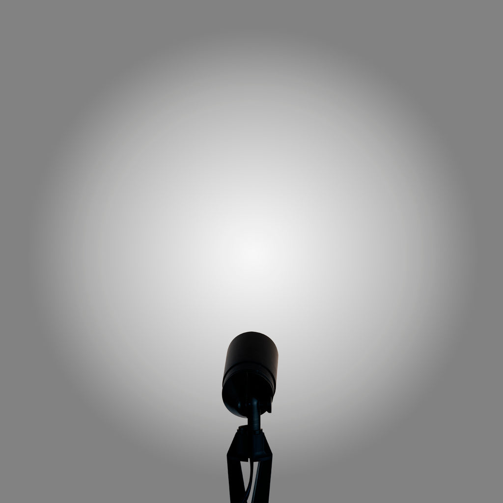 pathscapes Proline 2-Pack Solid Brass Low Voltage Spot Light