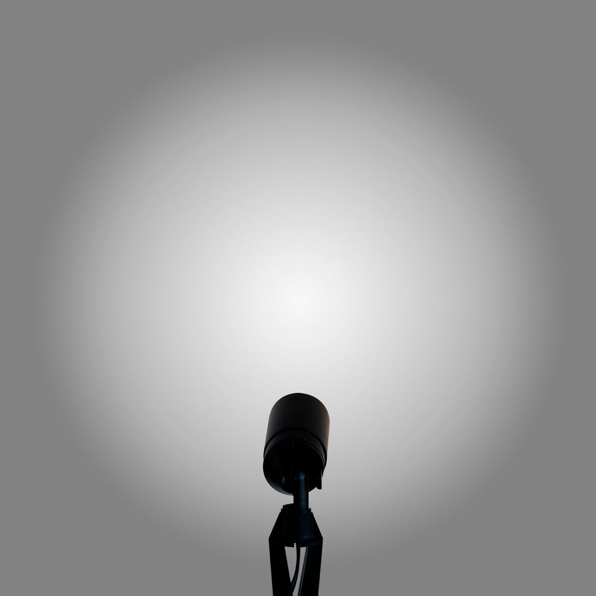 pathscapes Proline 2-Pack Solid Brass Low Voltage Spot Light