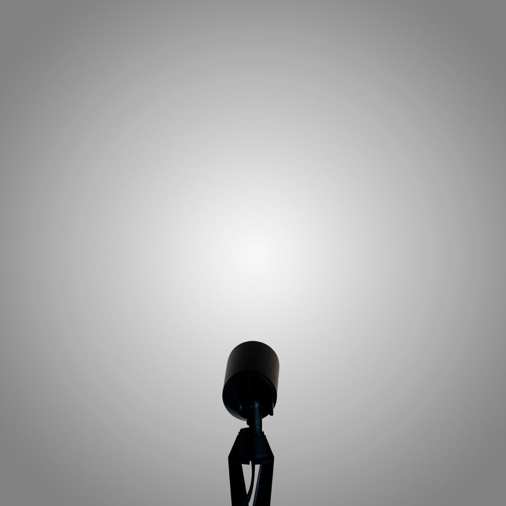 pathscapes Proline 2-Pack Solid Brass Low Voltage Spot Light