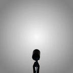 pathscapes Proline 2-Pack Solid Brass Low Voltage Spot Light