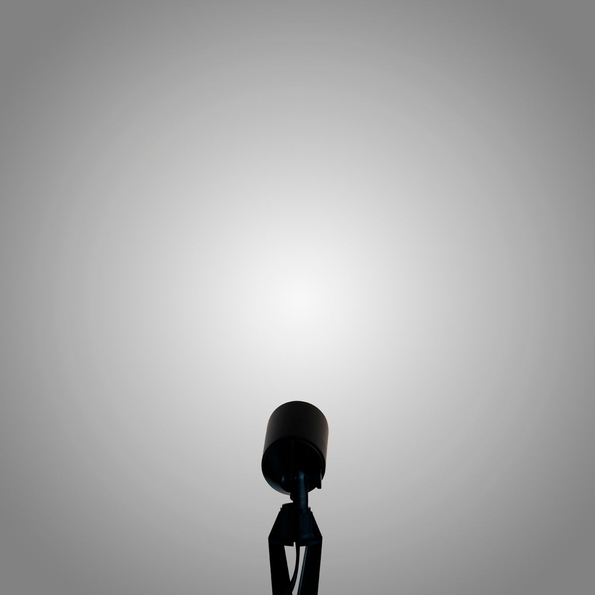 pathscapes Proline 2-Pack Solid Brass Low Voltage Spot Light