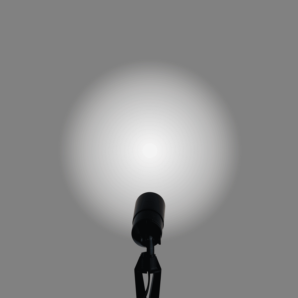 pathscapes Proline 2-Pack Solid Brass Low Voltage Spot Light