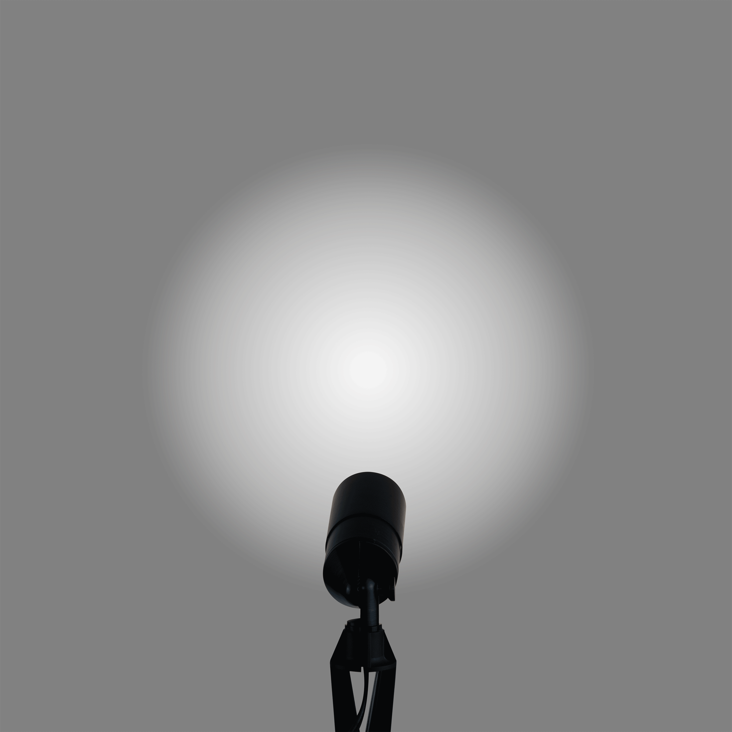 pathscapes Proline 2-Pack Solid Brass Low Voltage Spot Light